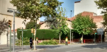 Poda d’arbres a l’eix central de Sabadell